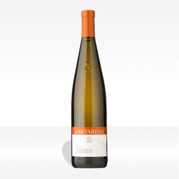 Verdicchio dei castelli di Jesi DOC Superiore "Balciana" - Sartarelli
