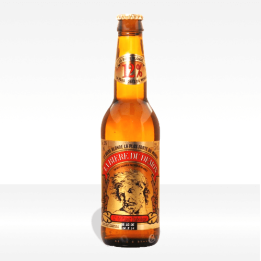birra Bière du Démon, vendita online