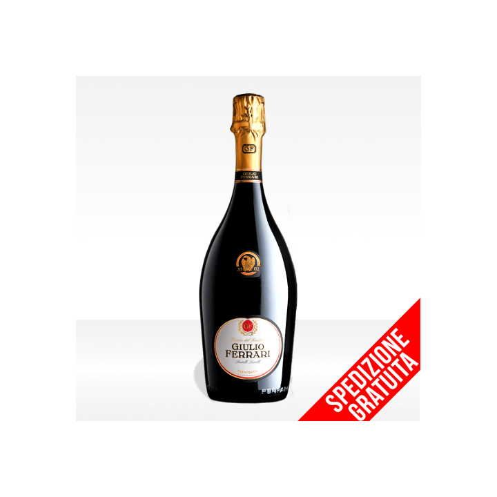 Trento DOC "Giulio Ferrari" Riserva del Fondatore di Ferrari vino spumante del trentino vendita online spedizione gratuita