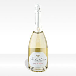 Franciacorta DOCG "Tenuta Montenisa" Blanc de Blancs brut di Marchesi-Antinori vino spumante lombardia vendita online