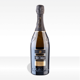 Prosecco Valdobbiadene Superiore di Cartizze DOCG di Col Vetoraz vino spumante veneto vendita online