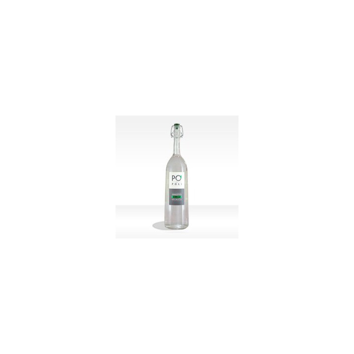 Traminer Poli