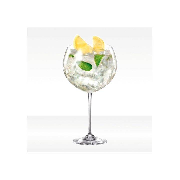 Gin Tonic