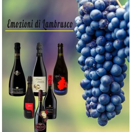 Emozioni di Lambrusco