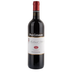 Pio Cesare Barbera d'Alba DOCG