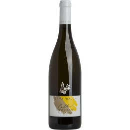 Elena Walch 'Cardellino' chardonnay Alto Adige DOC