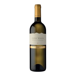 Elena Walch müller thurgau Alto Adige DOC