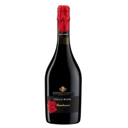 Reggiano Lambrusco DOC secco 'Foglie Rosse' - Albinea Canali
