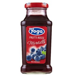 Yoga Succo Mirtillo - Vap 20clx24