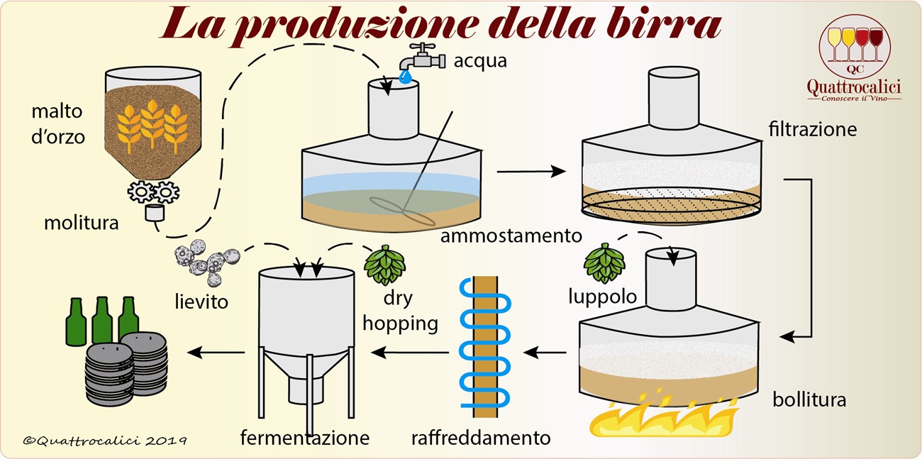 Come nasce la birra