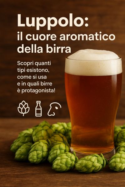 Luppolo: l’anima aromatica della birra, tra storia, varietà e curiosità