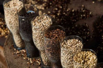 Come nasce la birra: Parte 1 - Fermentazione e maltatura del cereale