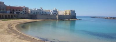 I vini del Salento