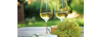 Vino bianco: dolce o secco?