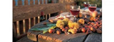 Vediamo oggi il vino novello, un prodotto che è calato negli ultimi anni ma non è sparito del tutto.