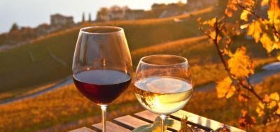 Vini italiani: ecco quelli disponibili sul nostro sito