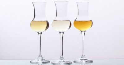 La grappa: scopriamo come si produce