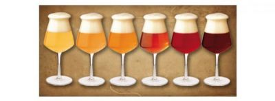 Calice Teku: il bicchiere universale per la birra?