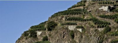 Vini rossi italiani: la Valtellina