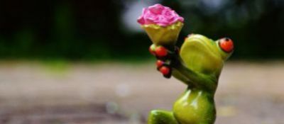 Vino regalo per San Valentino: scegli il miglior vino!