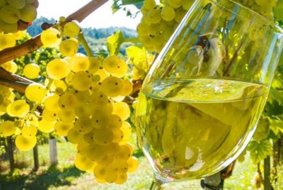 Vino per la festa della donna? Eccone i consigli di Bevandeadomicilio.com