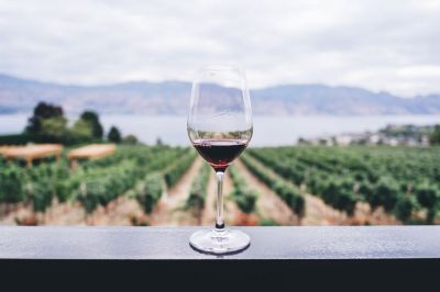 Vini da meditazione: cosa sono e gli esempi migliori