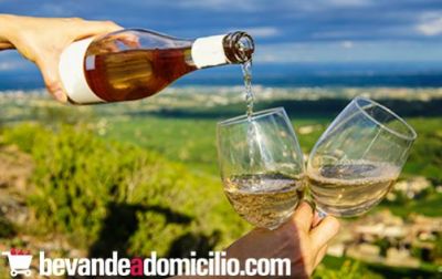 Vini estivi: la bevanda perfetta per ogni occasione